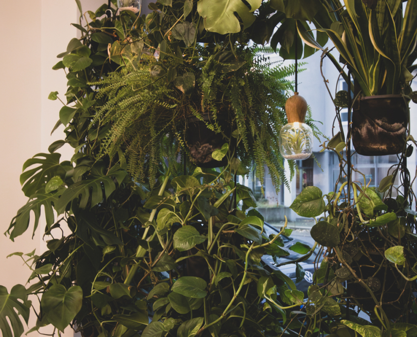 Lemontree Friseur Hannover Lemontree Friseur Hannover