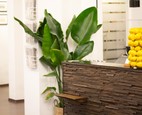 Lemontree Friseur Hannover Lemontree Friseur Hannover