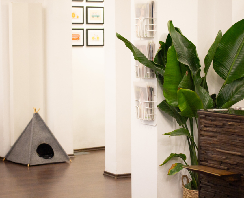 Lemontree Friseur Hannover Lemontree Friseur Hannover